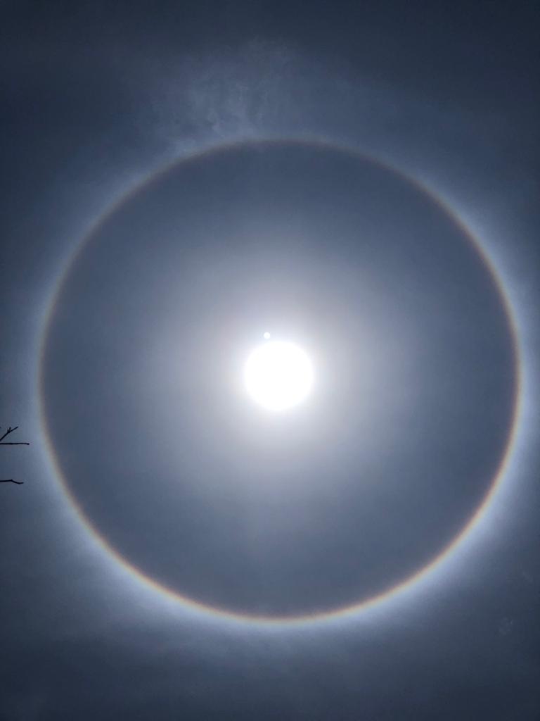 Whatsapp Image 2020 04 07 At 13.36.37