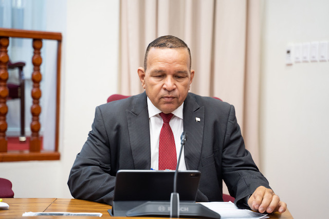 Parlamentario Endy Croes: Projecto Watty Vos Boulevard Mester Wordo Investiga Lo Manda Pidi E Hoogtemeting Di Henter E Projecto Aki Y Bestec 160 Endy Croes 232