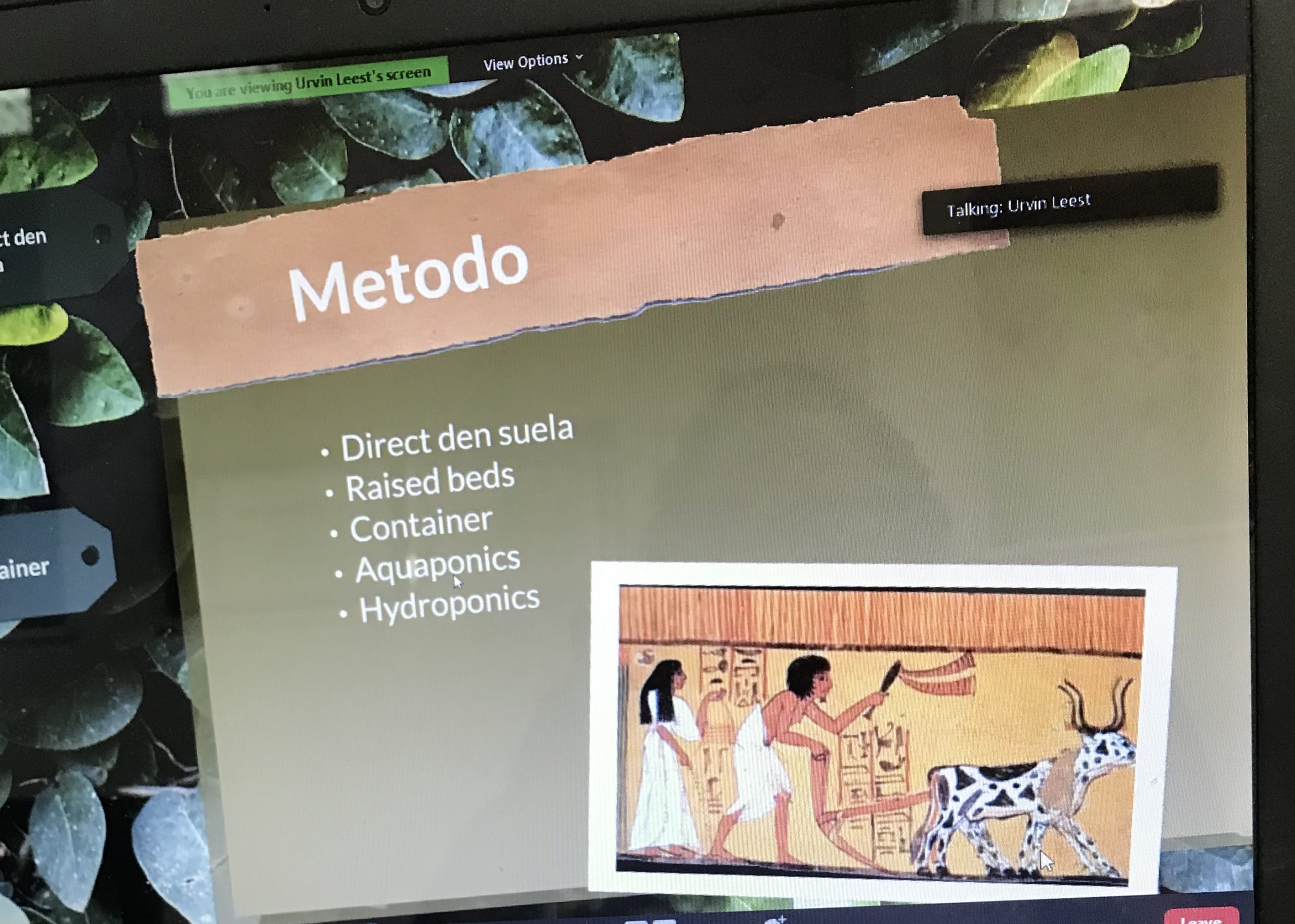 Webinarnan Pa Agricultornan Tawata Un Exito 161 Img E3428 Scaled
