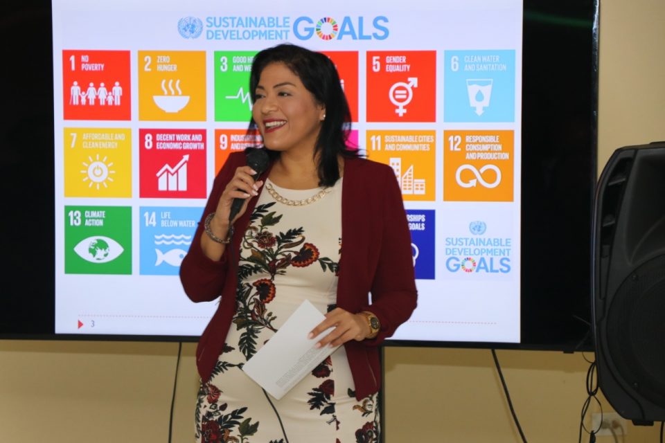 Minfec Sdgs