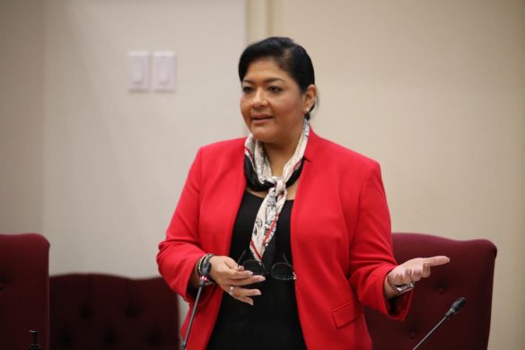 Aruba Ta Paga Pa Tur Sosten Financiero Fo'I Presupuesto 2020 Of Cu Fiansa Di Hulanda Presupuesto Ta Cubri Fase Y Mkb, Y Cu Prestamo Di Hulanda Ta Paga Subsidio Di Salario 161 Minfec Den Parlamento