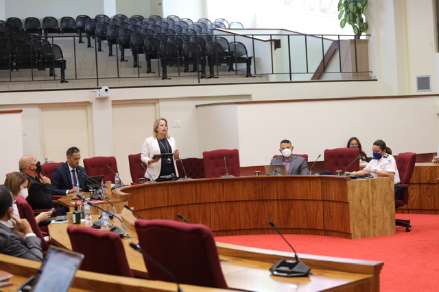 Premier Den Parlamento