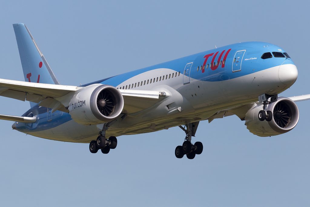 G Tuie 1024X683 1
