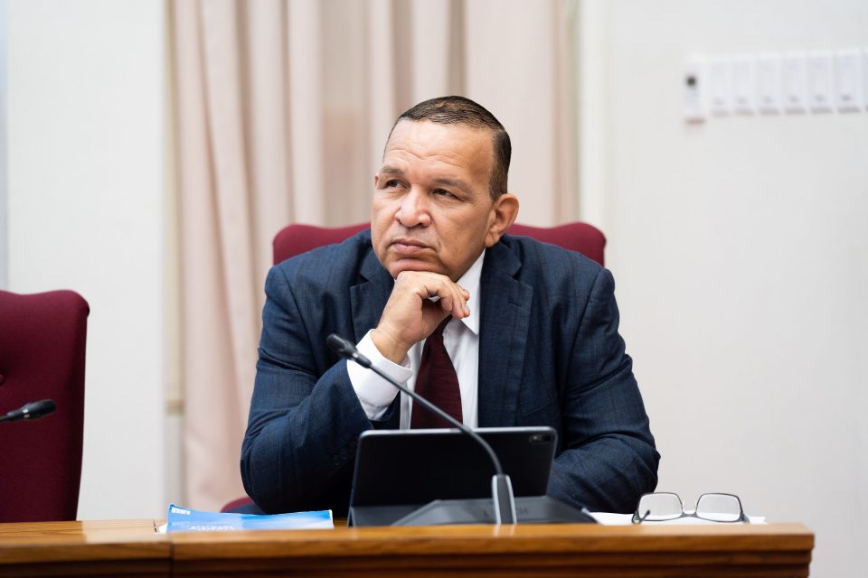 Endy 35 Parlamento3June2020 1 1