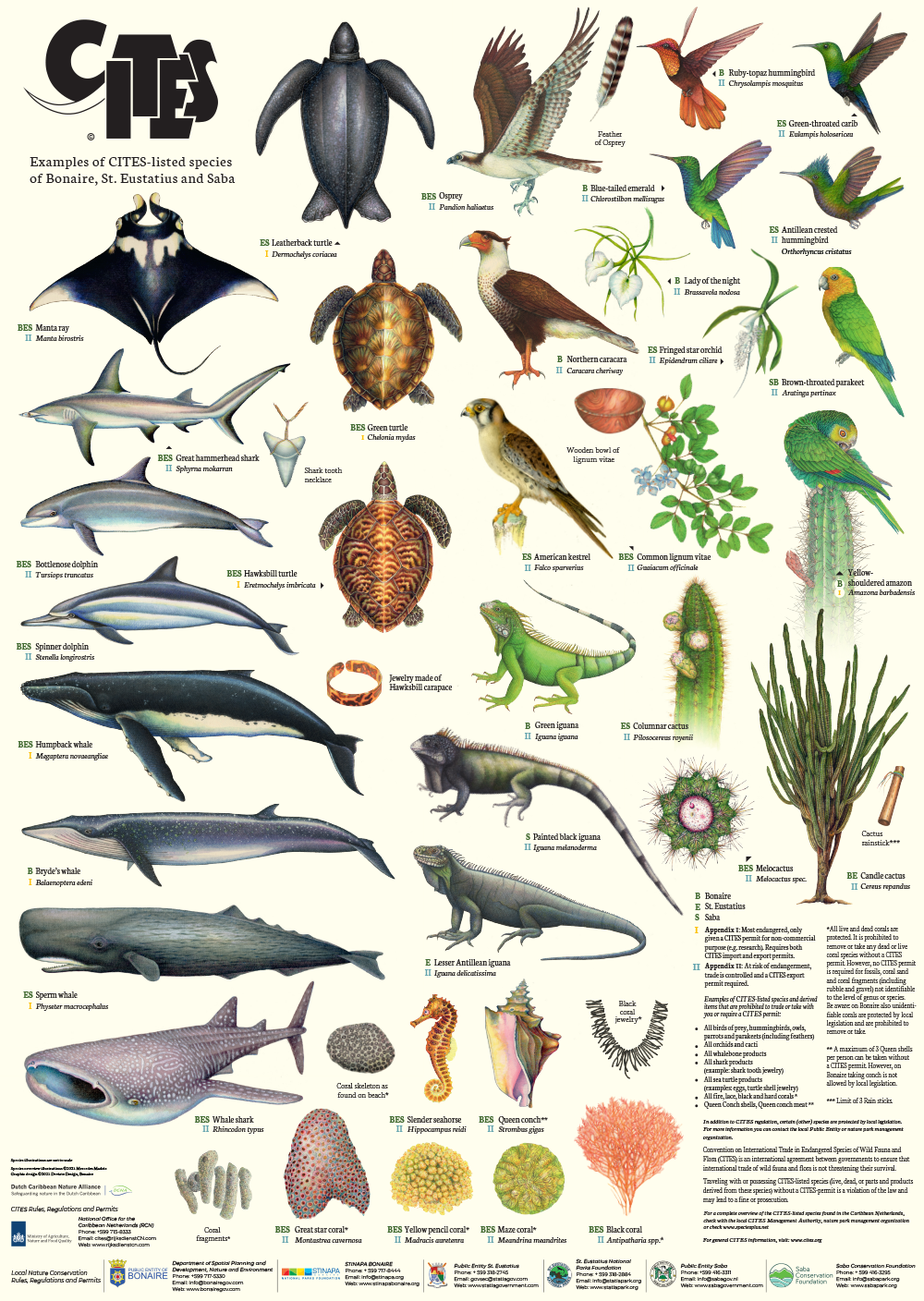 A Traha Material Di Informashon Di Espesienan Di Animal I Mata Protehá (Cites) Hulanda Karibense 160 Cites Poster Bes