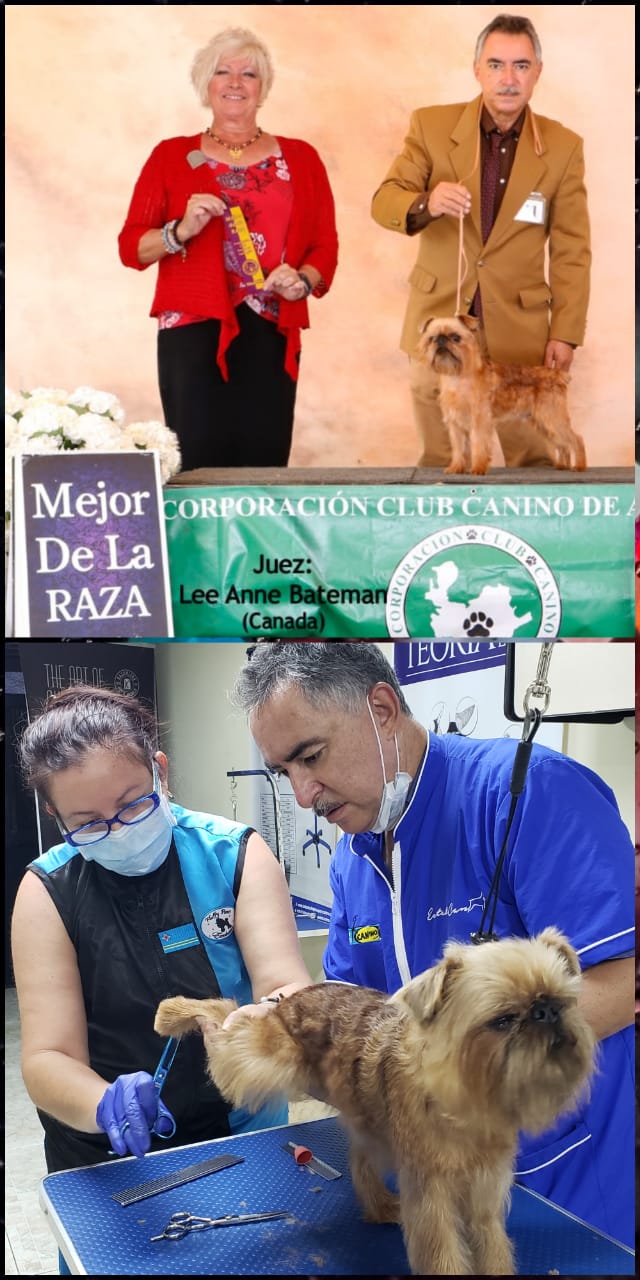 Competencia Di Cacho 3