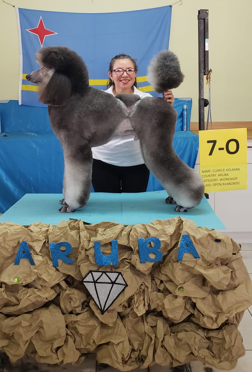 Competencia Di Cacho 5