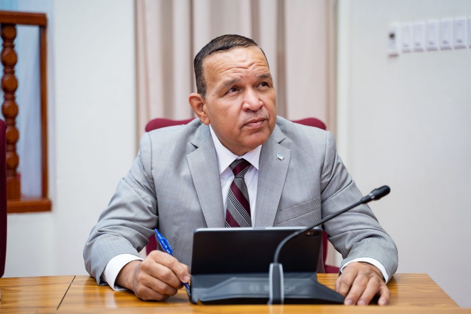 Parlamentario Endy Croes