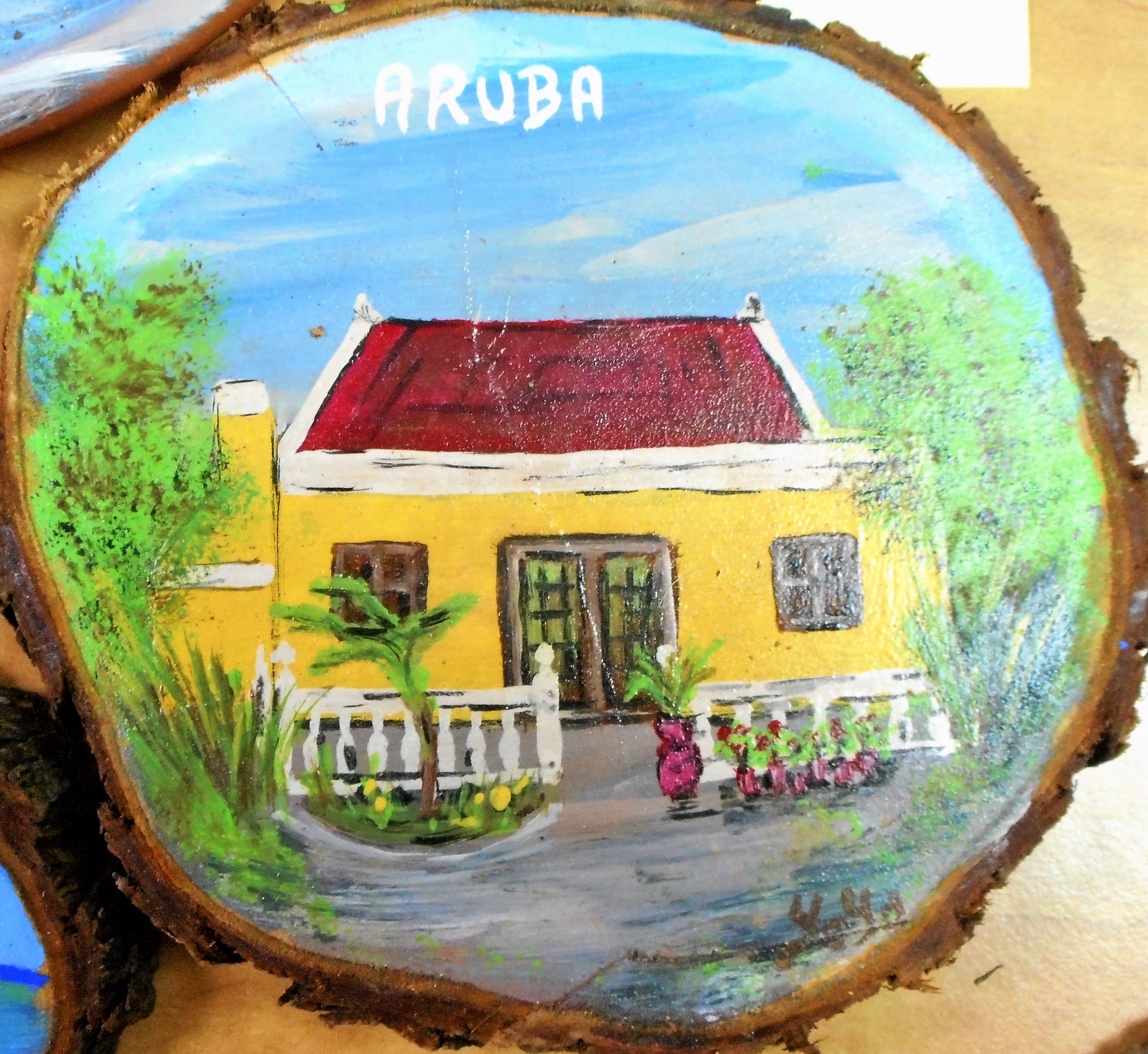 Seyo Nacional Di Aruba 4 Scaled