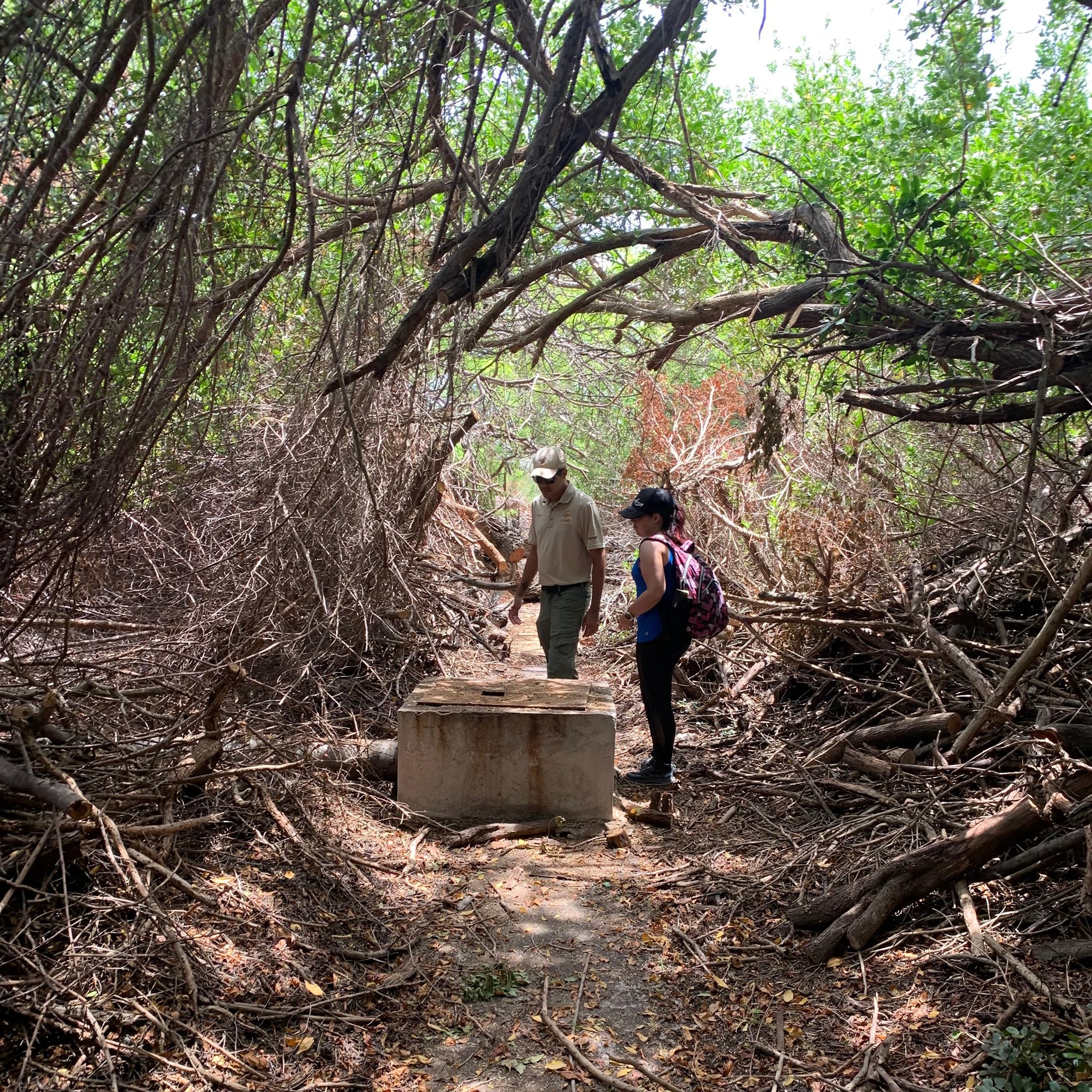 Saliña Bubali Un Area Henter Cu Sistema Ecologico 161 Naturalesa 2