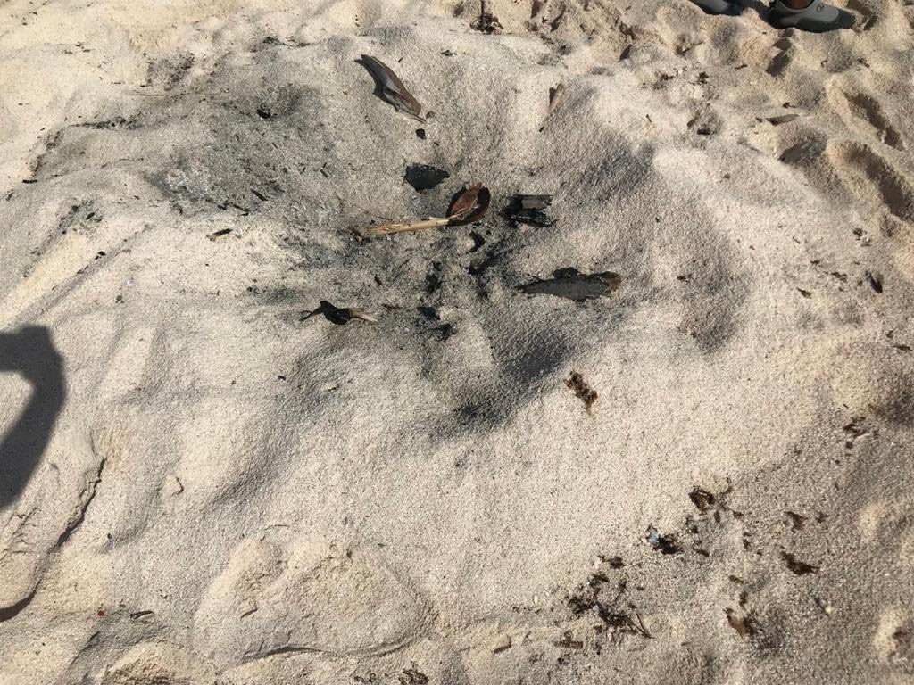 Carbon Den Santo Blanco