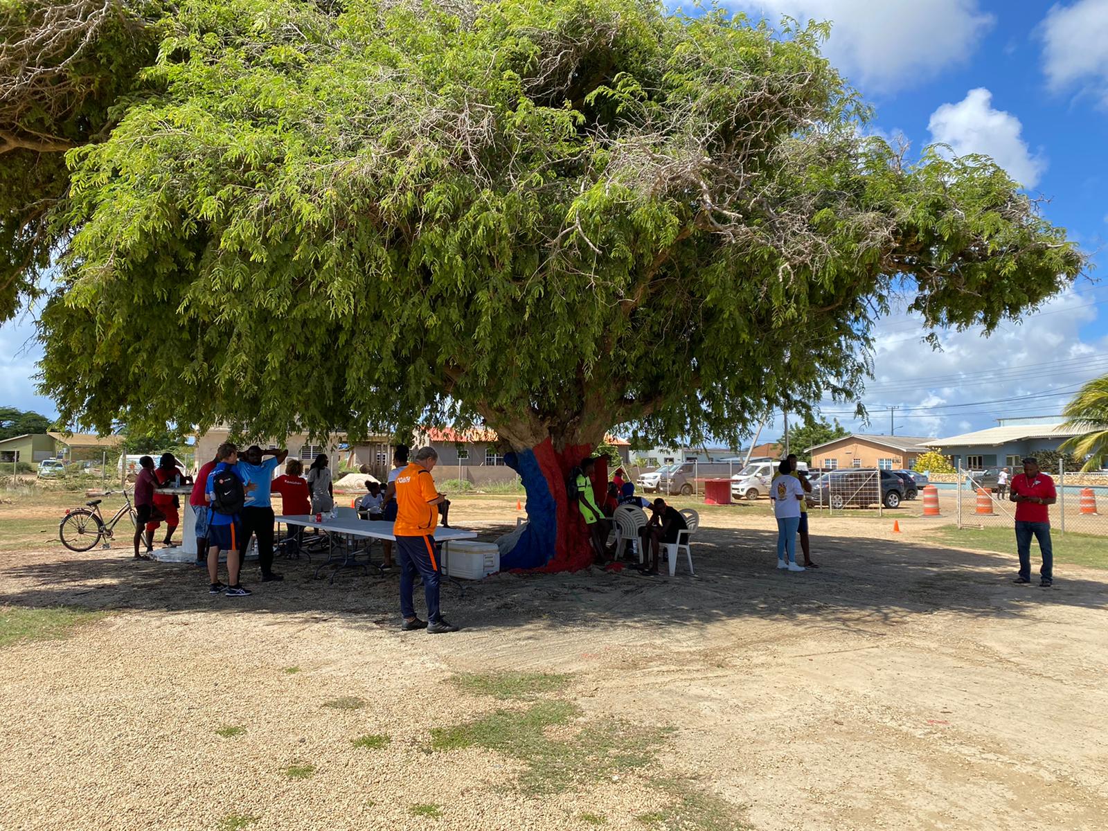 Boneiro Atc Deporte 53