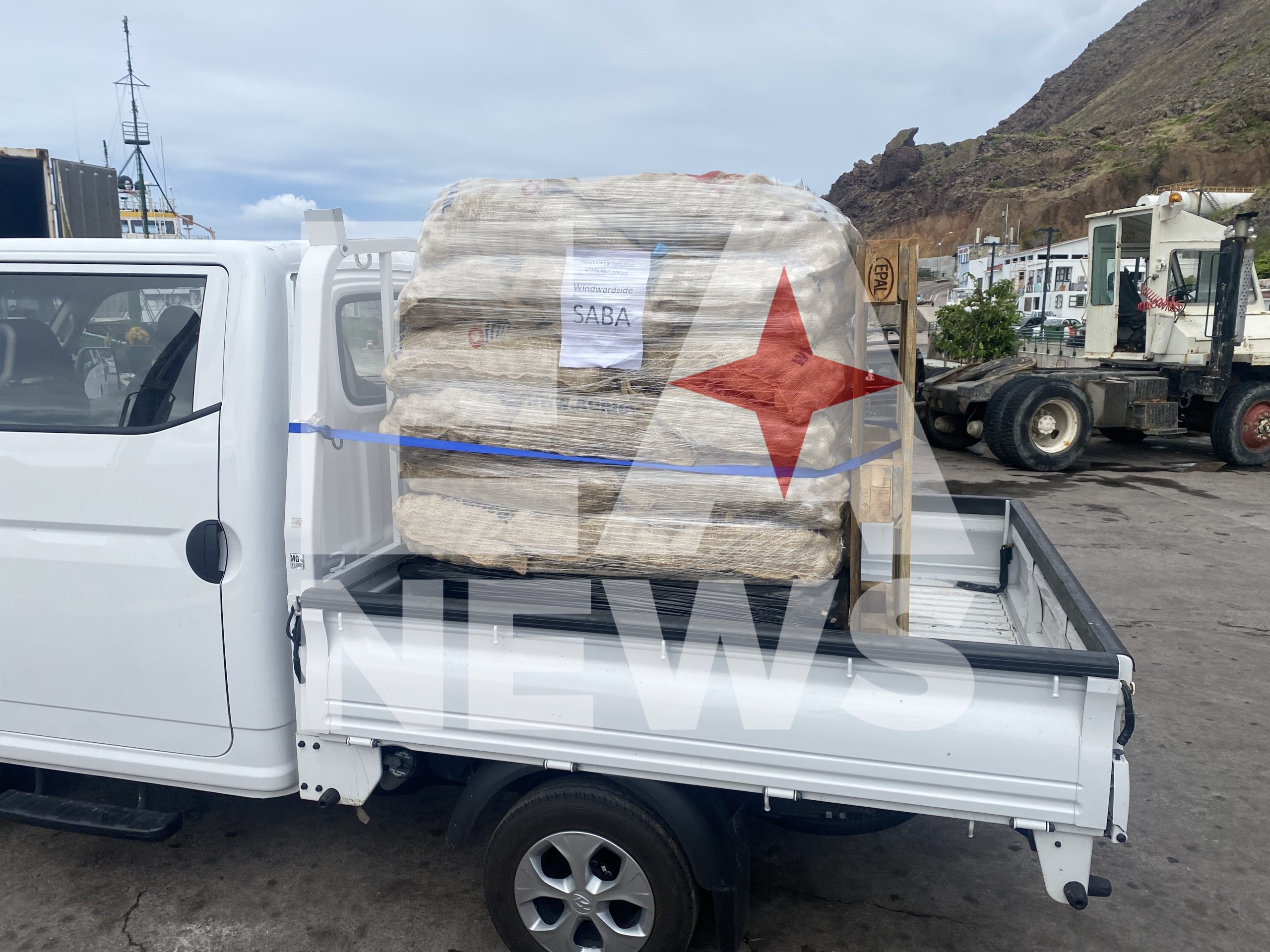 Cargamento Di Batata Hulandes Pa Plantacion A Yega 160 Dutch Potatoes Arrive On Saba 1 Scaled