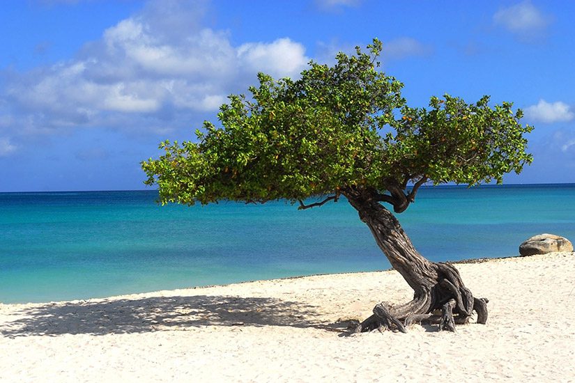 Aruba