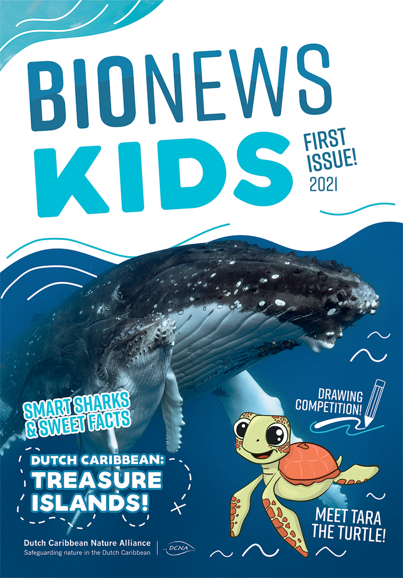 Dcna Ta Lansa Bionews Kids - Un Revista Nobo Pa Reforsa E Hobennan Den Caribe Hulandes 160 Photo 1 Bionewskids Eng