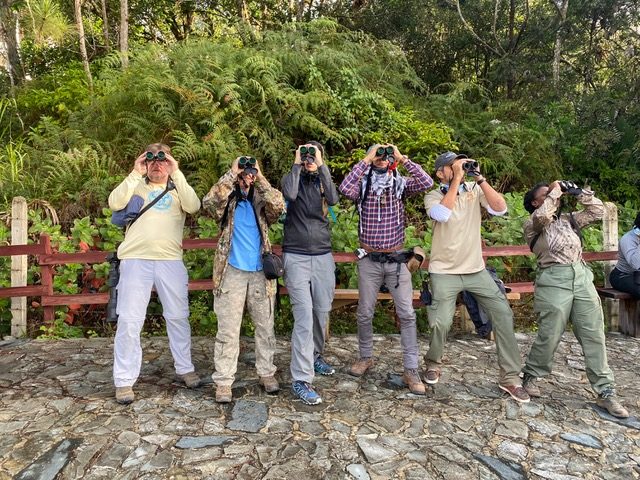 Dutch Caribbean Nature Alliance Ta Apoya Asistencia Di Conservacionistanan Di Area Proteha Pa Asisti Na Tayer Di Parha Terestre Di Birdscaribbean 160 Birdscaribbean Landbird Monitoring Workshop 1