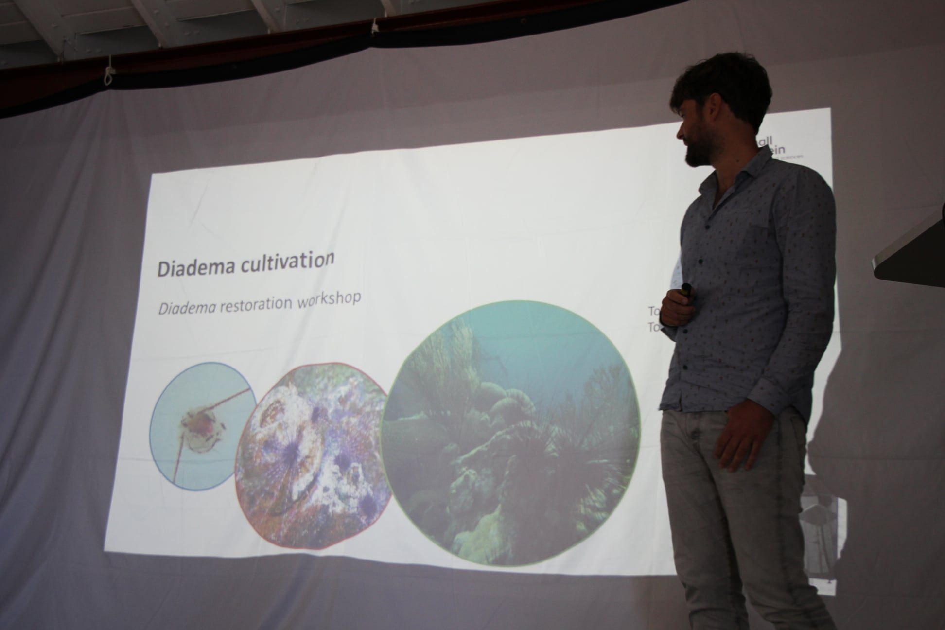 Restauracion Di Rif Den Caribe 18