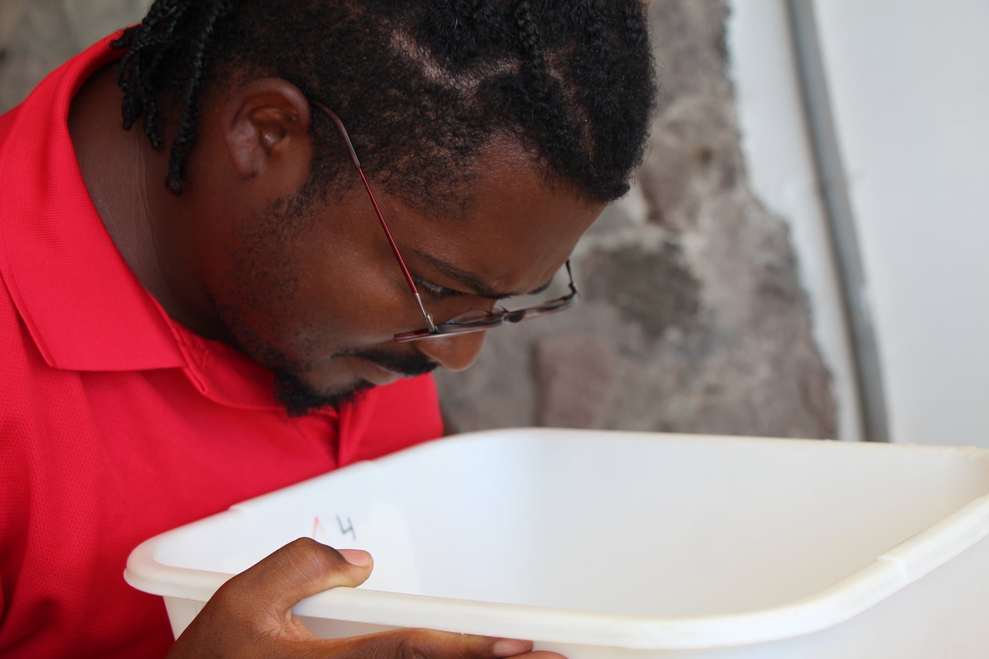 Restauracion Di Rif Den Caribe 22