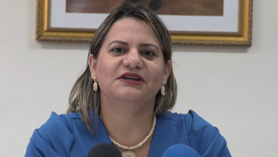 Parlamentario Erasmus