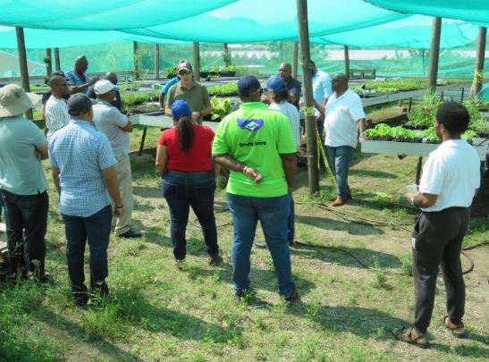 Promé Reunion Di Dcvp Pa Inisio Di Proseso Pa Vishon I Koperashon Entre E Islanan Aruba, Sint Maarten, Boneiru, Saba, Statia I Kòrsou 161 Prome Reunion Di Dcvp Pa Inisio Di Proseso Pa Vishon I Koperashon Entre E Islanan Aruba Sint Maarten Boneiru Saba Statia I Korsou....