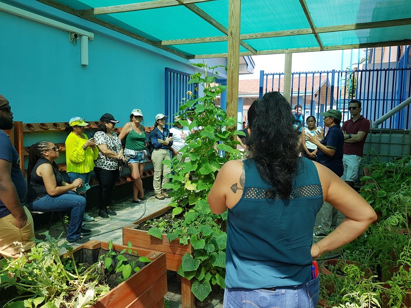 Exitoso Tayer Internacional Tocante Potencial Di Conocemento Tradicional Pa Reduci Impacto Di Cambio Di Clima Den Caribe 168 Exitoso Tayer Internacional Tocante Potencial Di Conocemento Tradicional Pa Reduci Impacto Di Cambio Di Clima Den Caribe..4