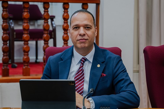 Parlamentario Marco Berlis 2