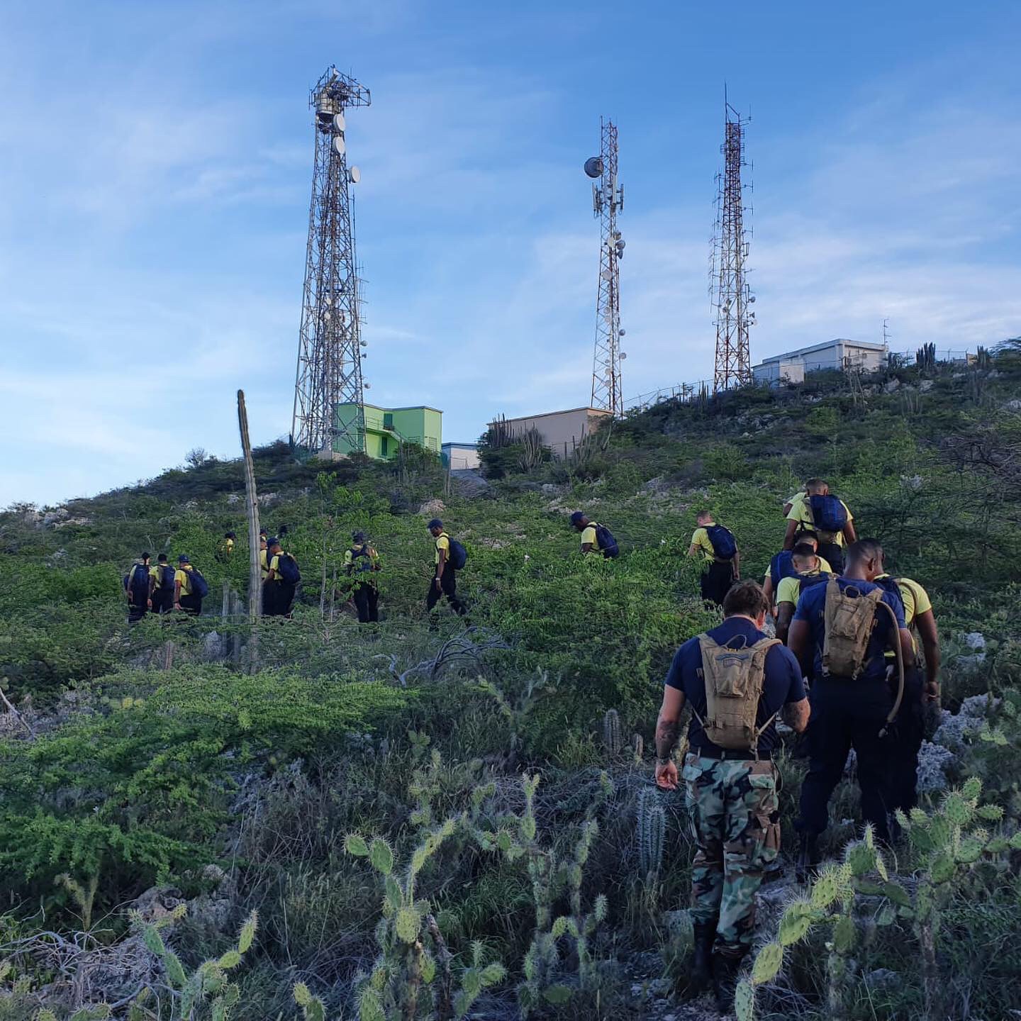 Inskripshon Pa Estudio Basiko Pa Bira Agente Di Wardakosta Ta Habri..