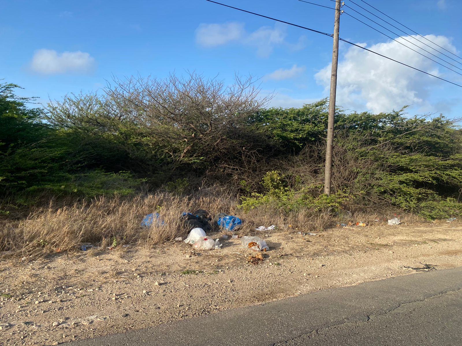 Aruba Tin Diferente Dump Chikito Rond Di Isla 162 Aruba Tin Diferente Dump Chikito Rond Di Isla 1