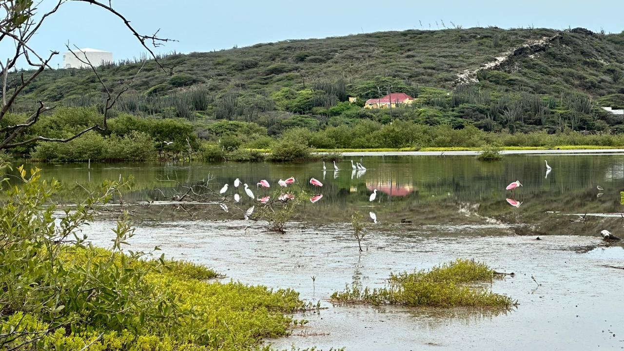 369259751 683595733805467 6846677888803417337 N