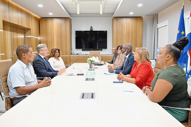Prime Minister Gilmar Pisas Received The Headship Of The Delegation Of