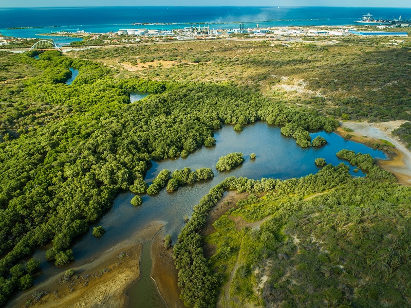 Si Nos No Respeta E Siclo Di Criadero Di Bestia Di Lama Pronto Lo Nos No Tin Cuminda Riba Mesa .2