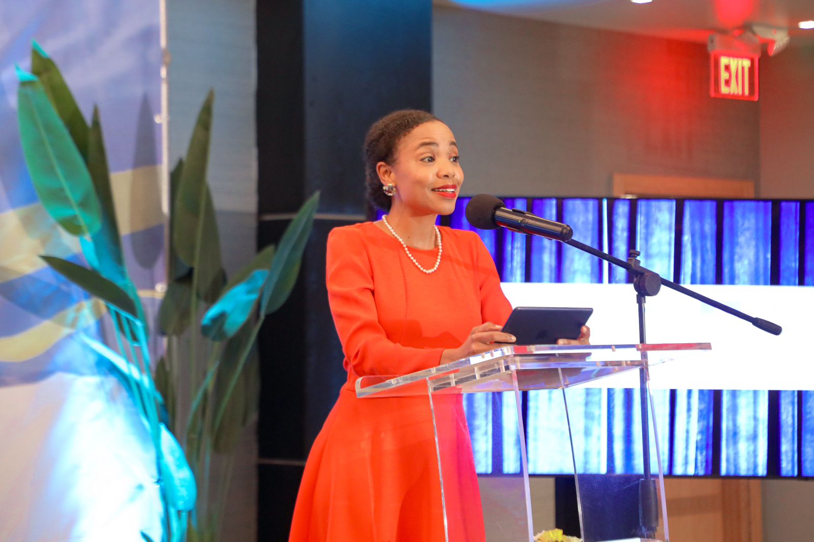 E Lansamento Coleccion 04