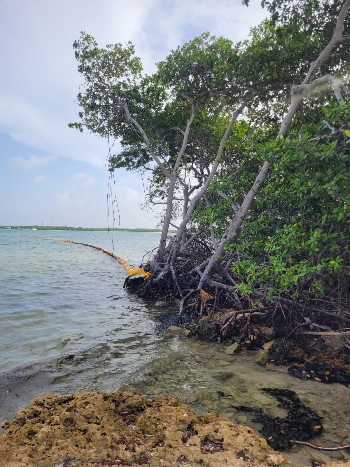 A Konstata Kontaminashon Ku Petroleo Den Awanan Di Sorobon Lac I Lagun 1