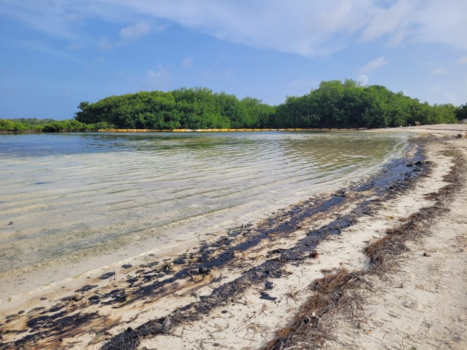 A Konstata Kontaminashon Ku Petroleo Den Awanan Di Sorobon Lac I Lagun 3
