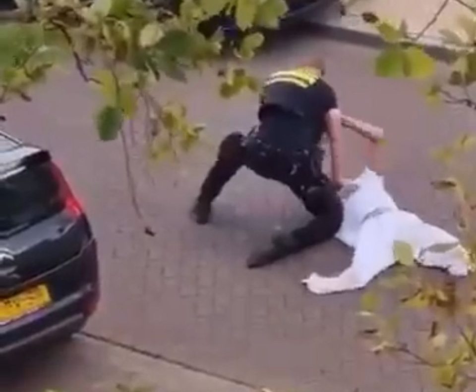 Polis Hulandes A Agredi Homber Invalido Sin Ningun Motibo.3