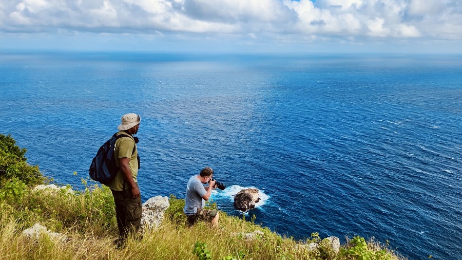 Bird Monitoring Credit Kai Wulf Scf