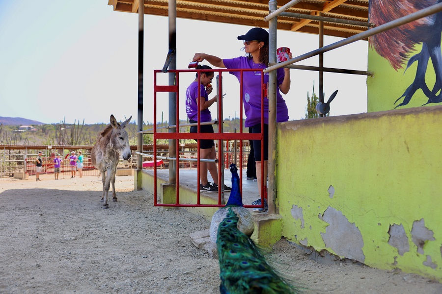 Evento Di Apertura Di Aruba Doet Na Cas Di Cultura.27