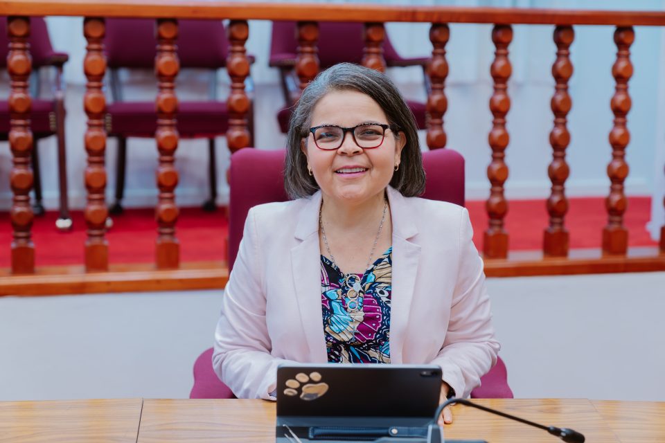 Parlamentario Yarzagaray