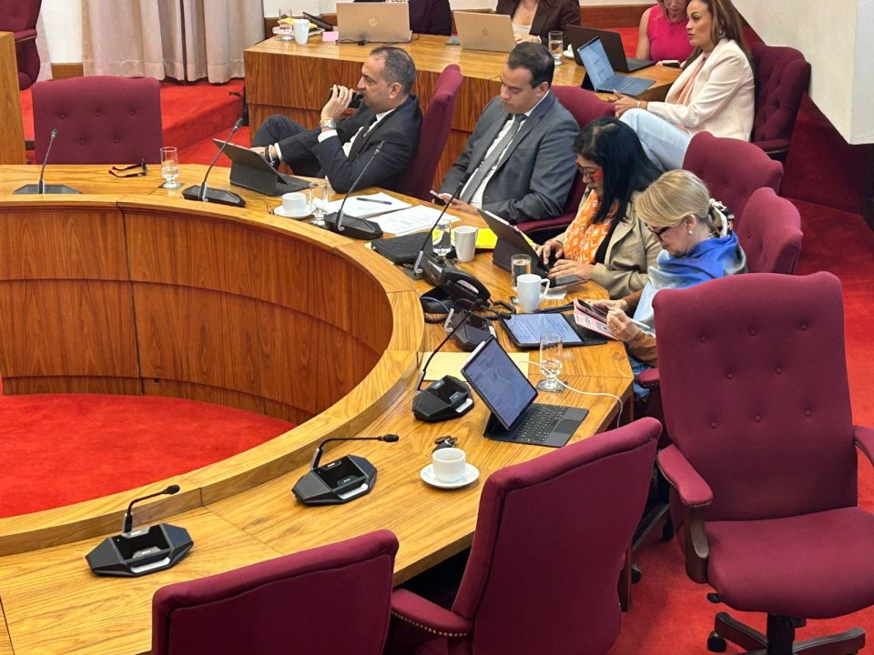 Evelyn Wever Croes 2