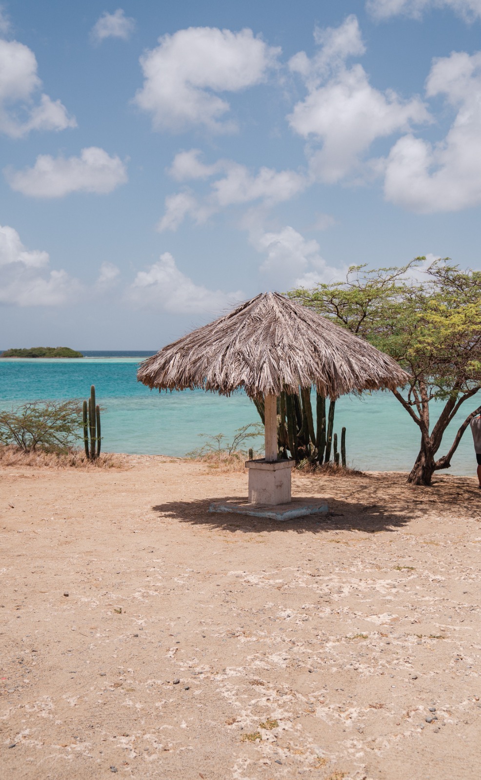 Minister Di Turismo Ta Informa Cu Fase 2 Di Proyecto Renobacion Palapa Na Mangel Halto A Cuminsa 160 Palapa 1