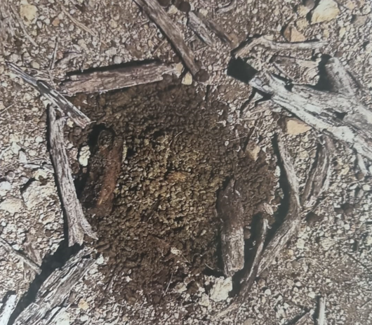 Na Boneiro Ta Venena Cacho