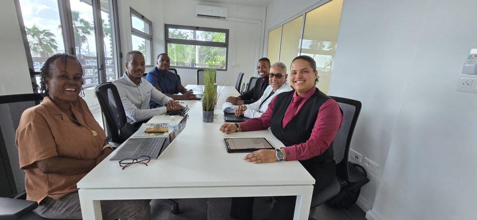 Ecys Collectivite 11 Feb 2025 Meeting