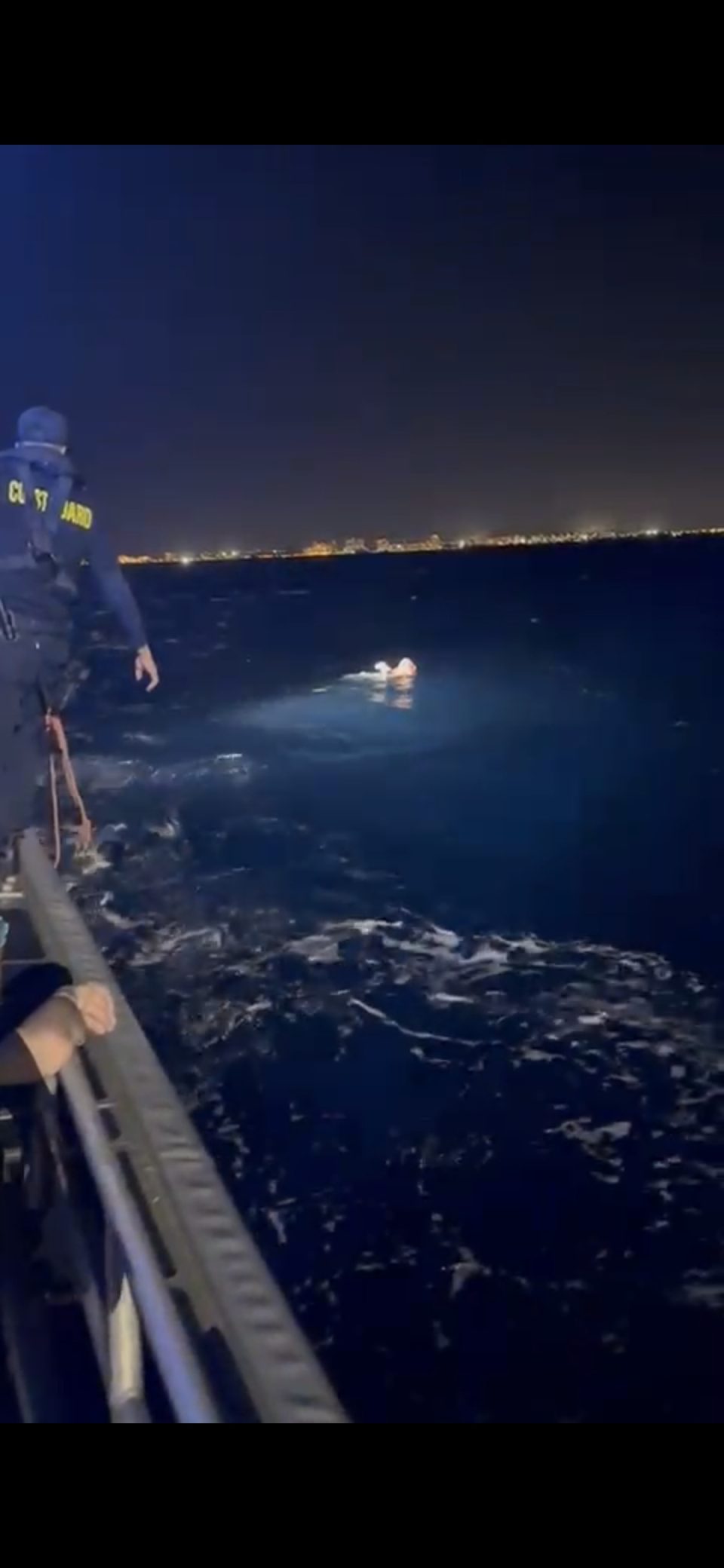 Screenshot 20250311 205636 Gallery