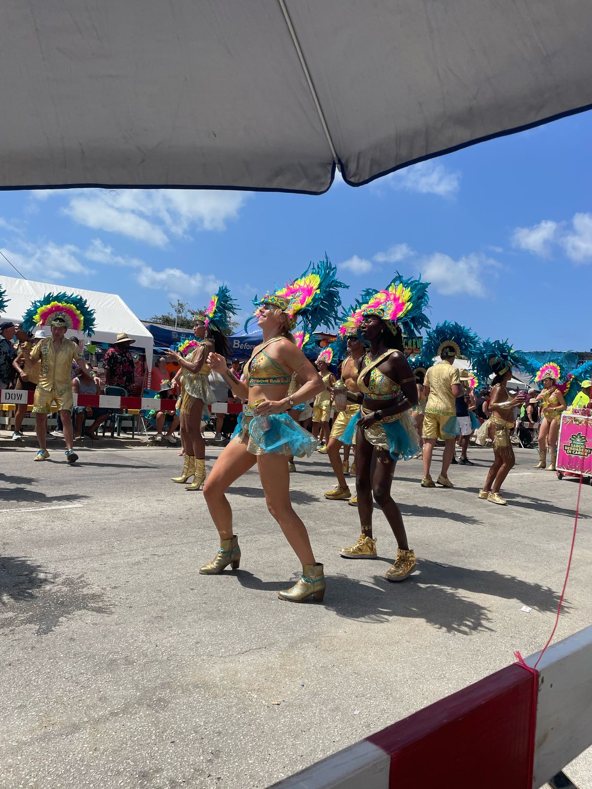 Carnaval 71 3