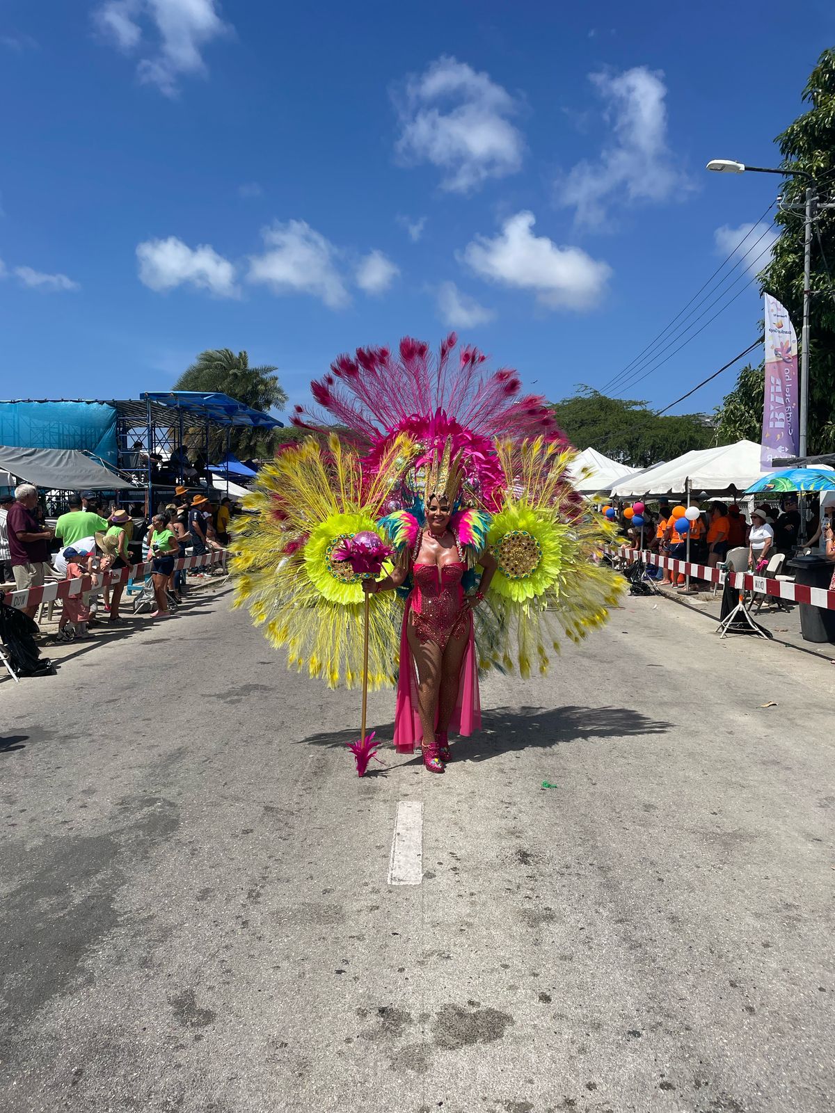 Carnaval 71 4