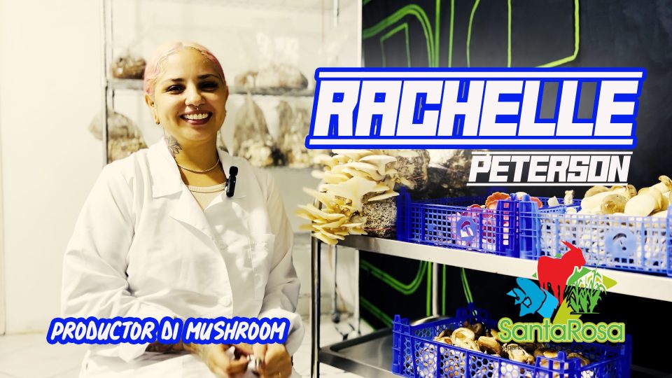 Rachelle Peterson