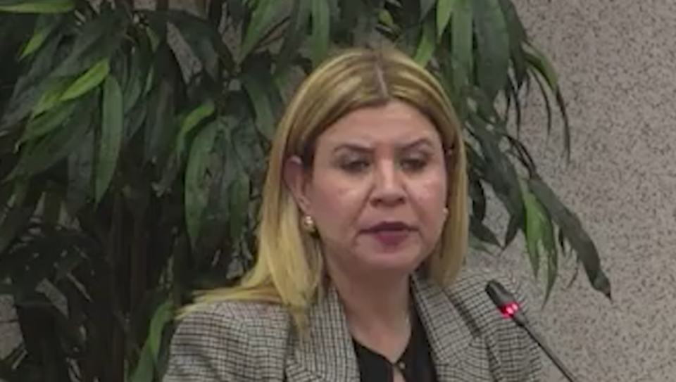 Lider Di Fraccion Di Avp