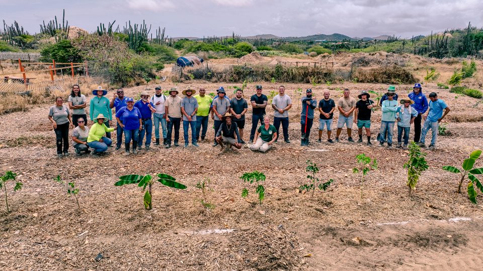 Santa Rosa A Finalisa Su Proyecto Di Syntropic