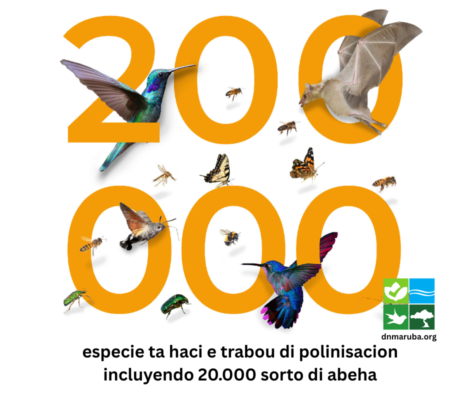 Dia Mundial Di Abeha 2025: E Rol Vital Di Abehanan Den Garantisa Siguridad Global Di Cuminda Y Nutricion 160 Bee Day 2