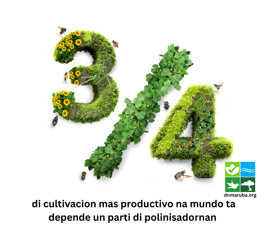 Dia Mundial Di Abeha 2025: E Rol Vital Di Abehanan Den Garantisa Siguridad Global Di Cuminda Y Nutricion 161 Bee Day 3